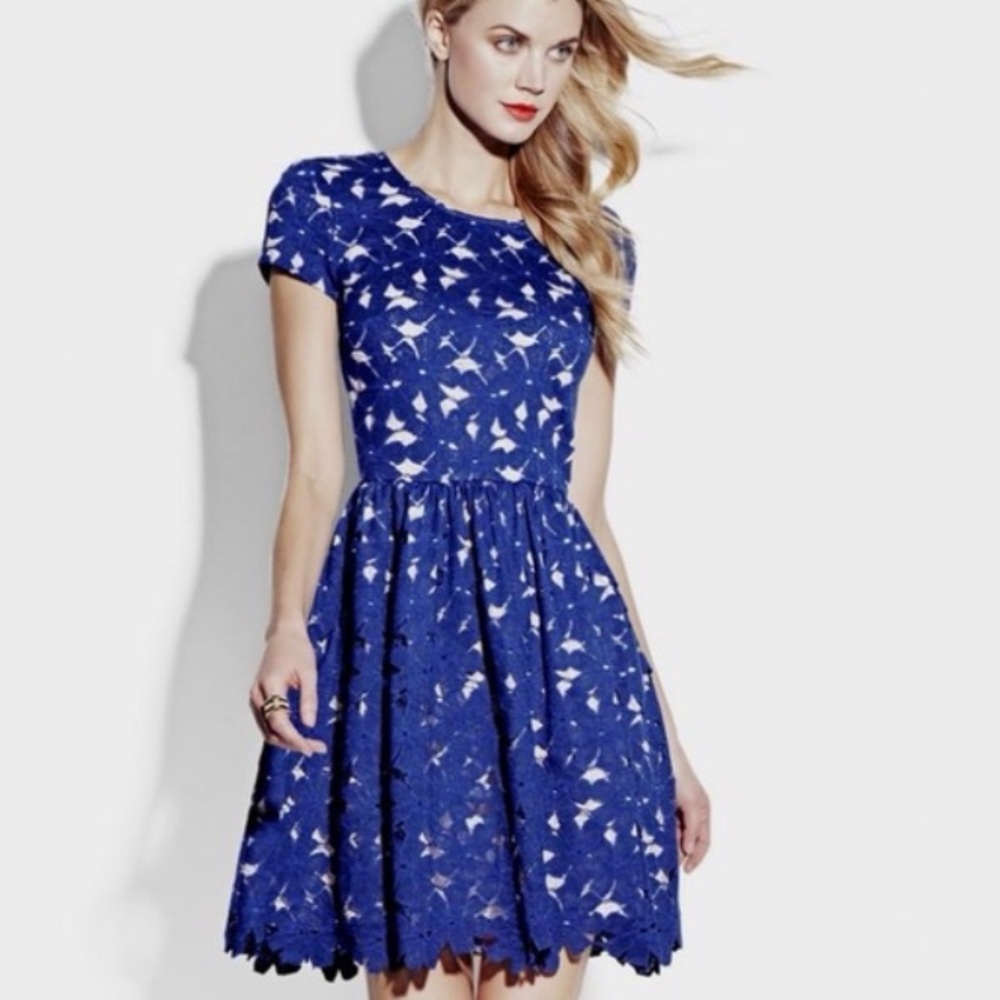 Vince Camuto Royal Blue Lace Overlay Party Dress